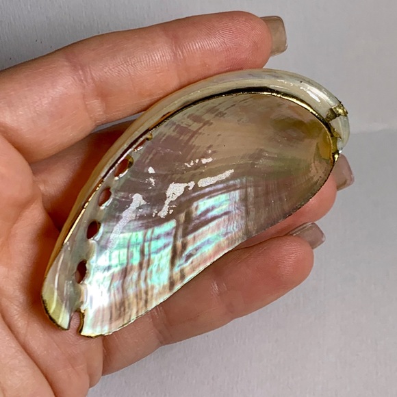 ⭐️ Gold Plated Shell ⭐️ - Picture 4 of 7